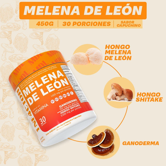 Melena de León - Polvo 450 gramos